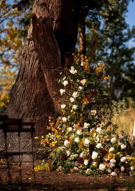 Wedding-6-Gillespie-Photography